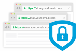 Wildcard SSL Certificates